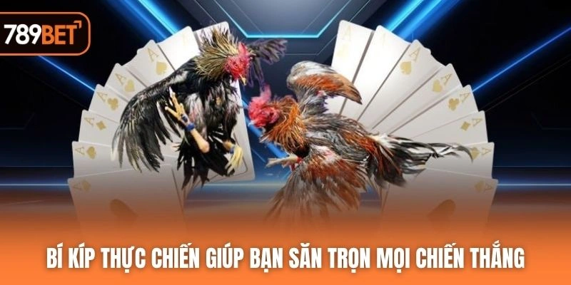 Bí kíp thực chiến giúp bạn săn trọn mọi chiến thắng