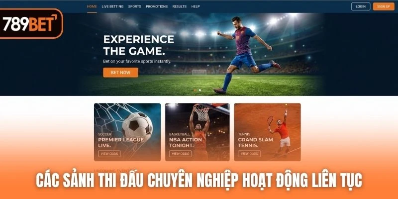 Các sảnh thi đấu chuyên nghiệp hoạt động liên tục