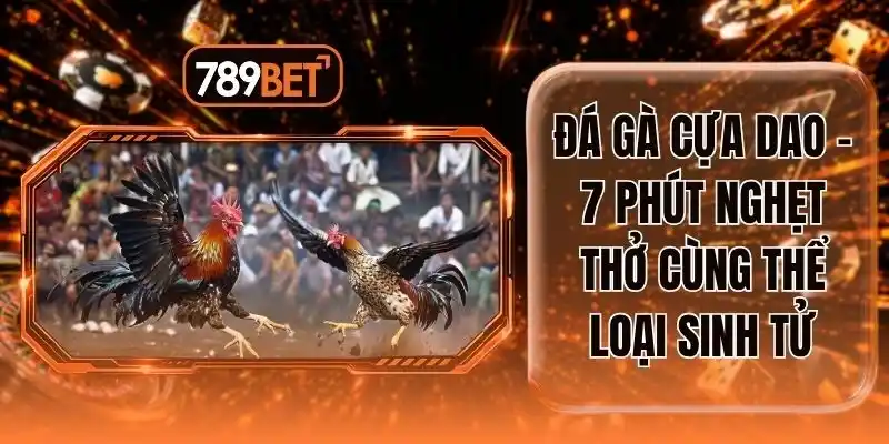Đá Gà Cựa Dao - 7 Phút Nghẹt Thở Cùng Thể Loại Sinh Tử