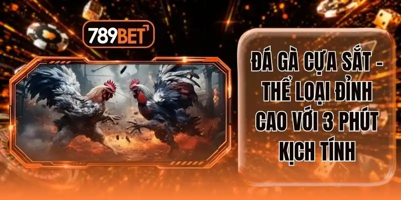 Đá Gà Cựa Sắt - Thể Loại Đỉnh Cao Với 3 Phút Kịch Tính