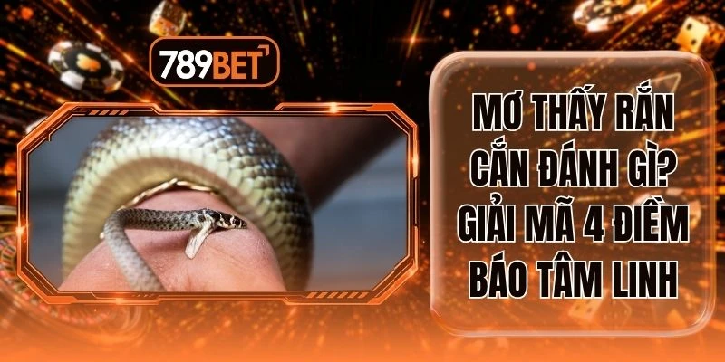 Mơ Thấy Rắn Cắn Đánh Gì? Giải Mã 4 Điềm Báo Tâm Linh
