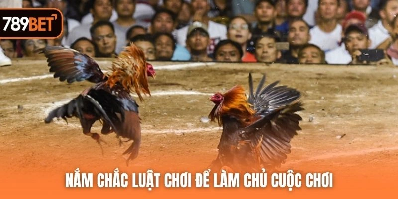 Nắm chắc luật chơi để làm chủ cuộc chơi