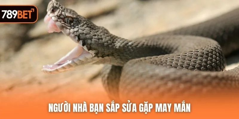 Người nhà bạn sắp sửa gặp may mắn
