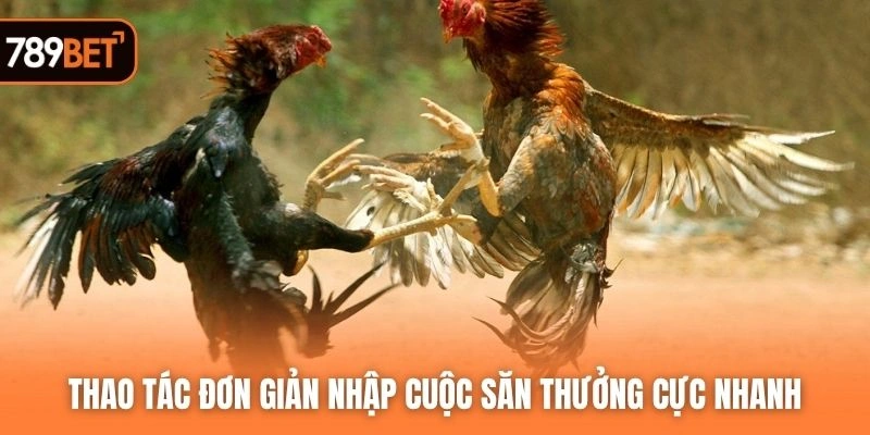 Thao tác đơn giản nhập cuộc săn thưởng cực nhanh